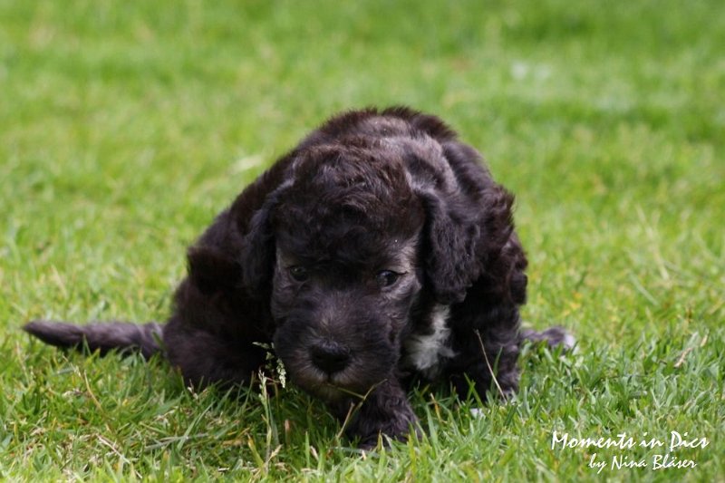 Arc-en-ciel Antares 2009-06-17 (29).JPG